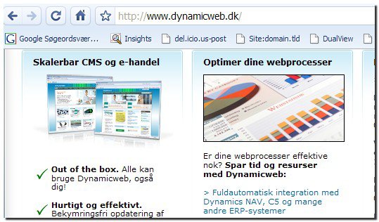 dynamicweb1