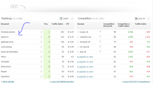 rankings og bedste keywords