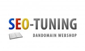 seotuning_big